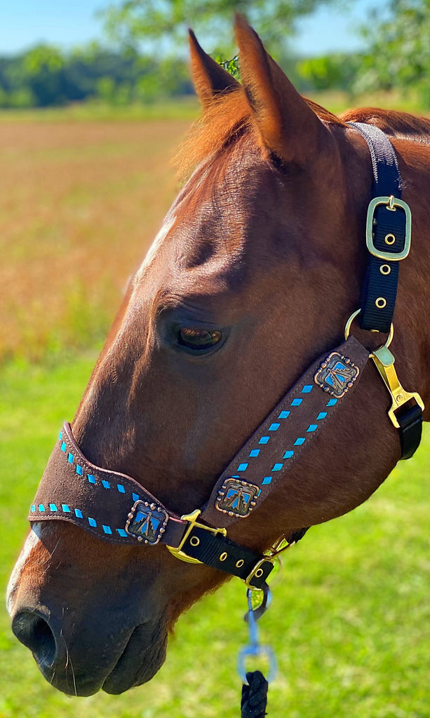 Roughout with Turquoise Buckstitch Bronc Halter