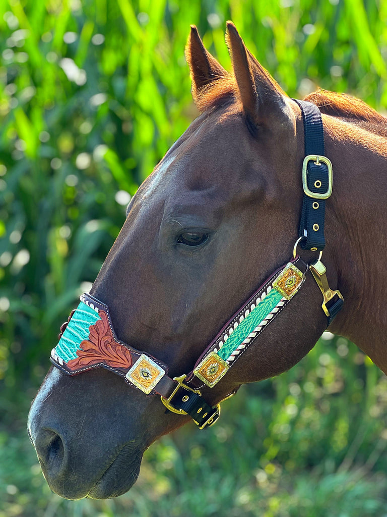 Macy Bronc Halter