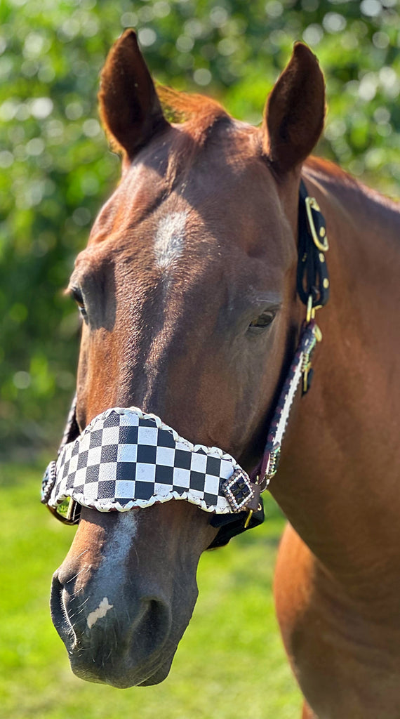 Checkered Bronc Halter