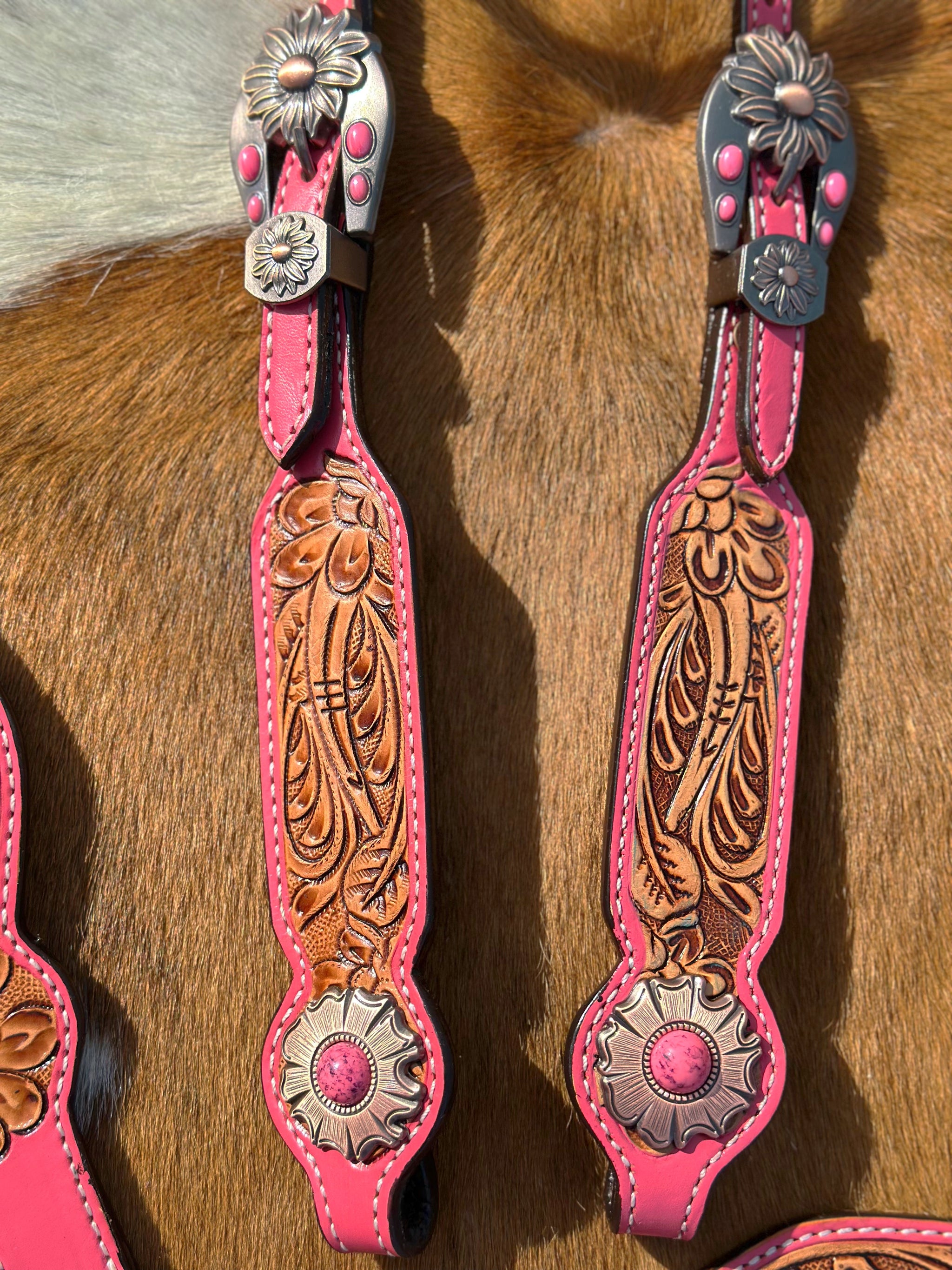 Ensemble équestre bleu ro | Horses, Horse tack, Bay horse