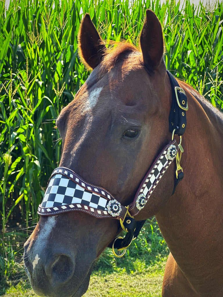 Race Day Bronc Halter
