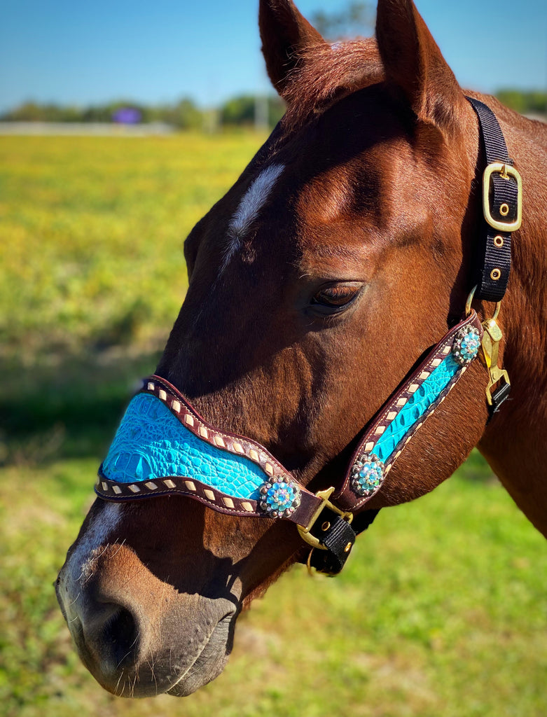 Turquoise Gator Bronc Halter