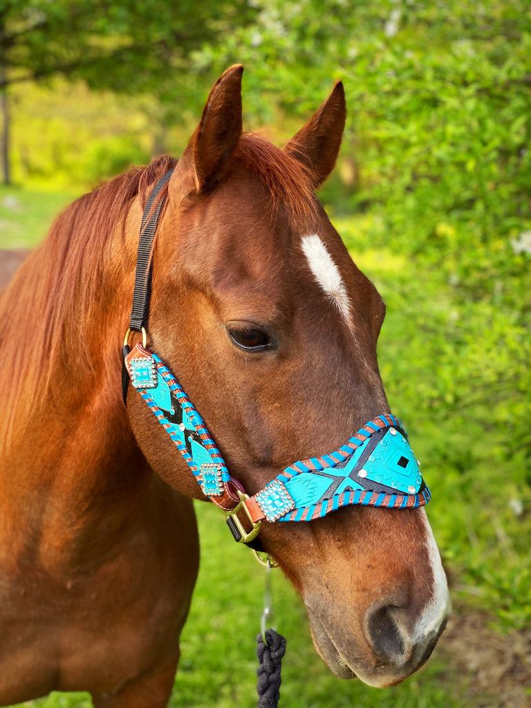 Turquoise Criss Cross Bronc Halter