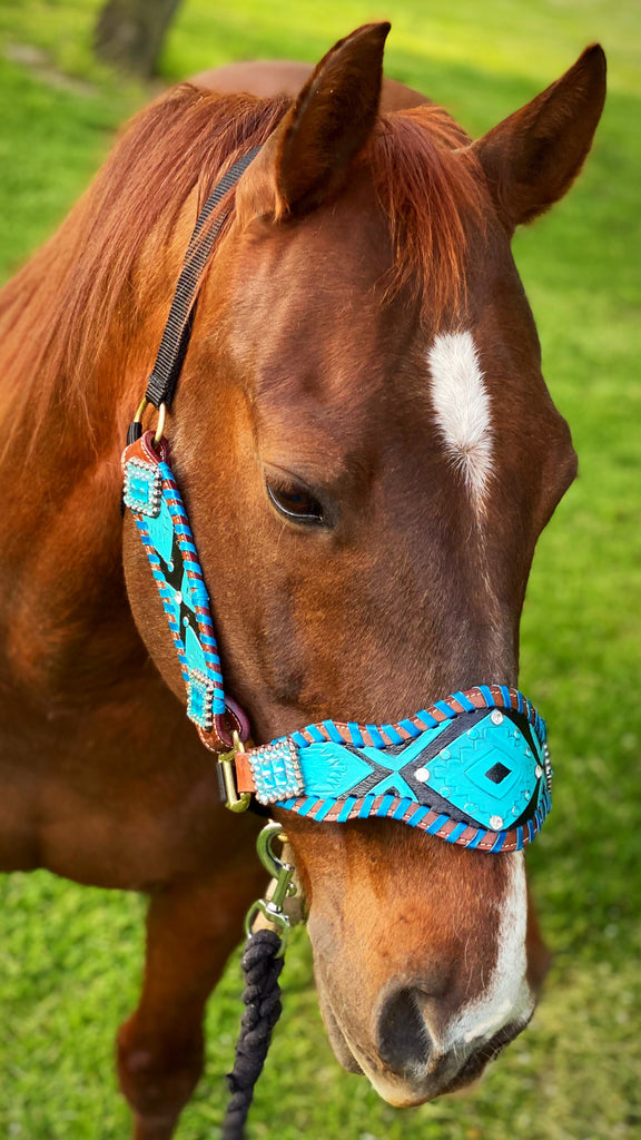 Turquoise Criss Cross Bronc Halter