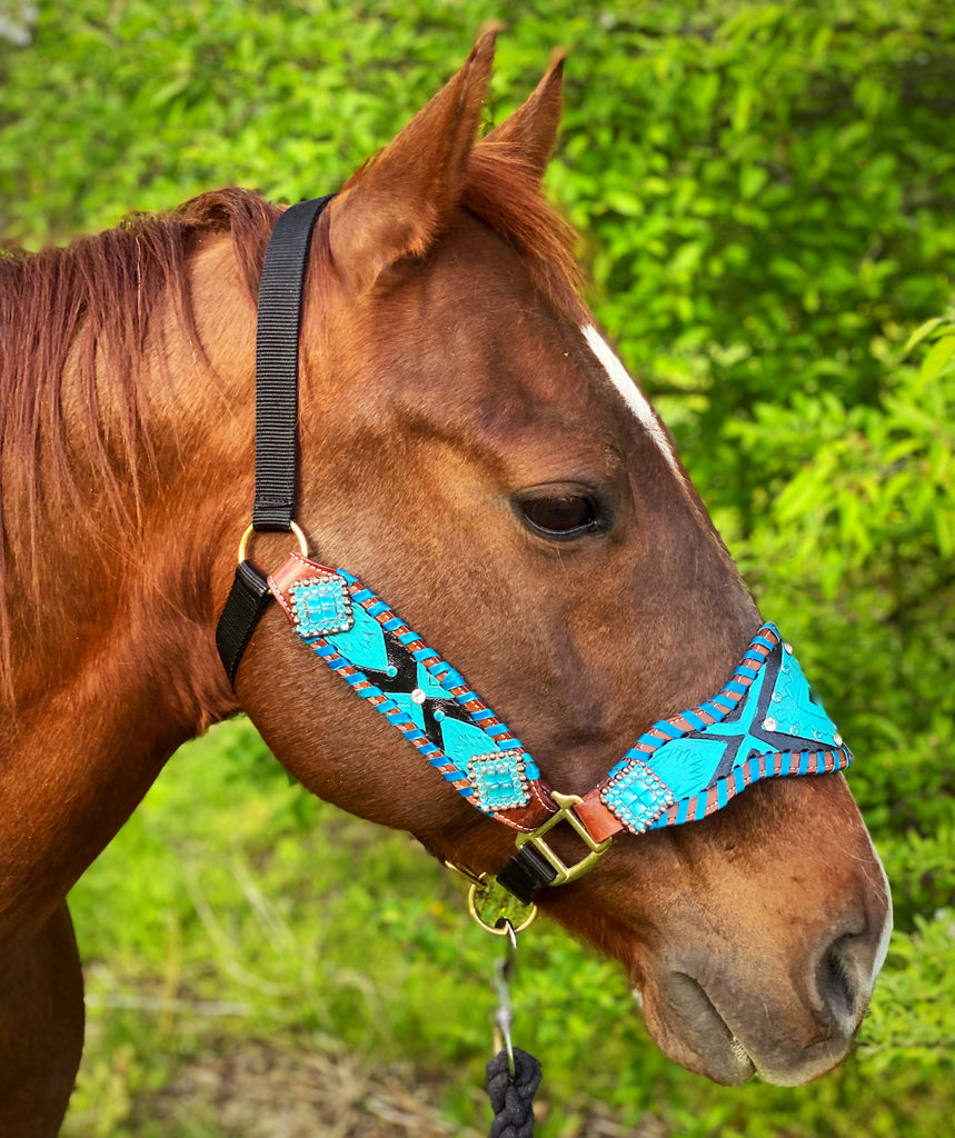 Turquoise Criss Cross Bronc Halter