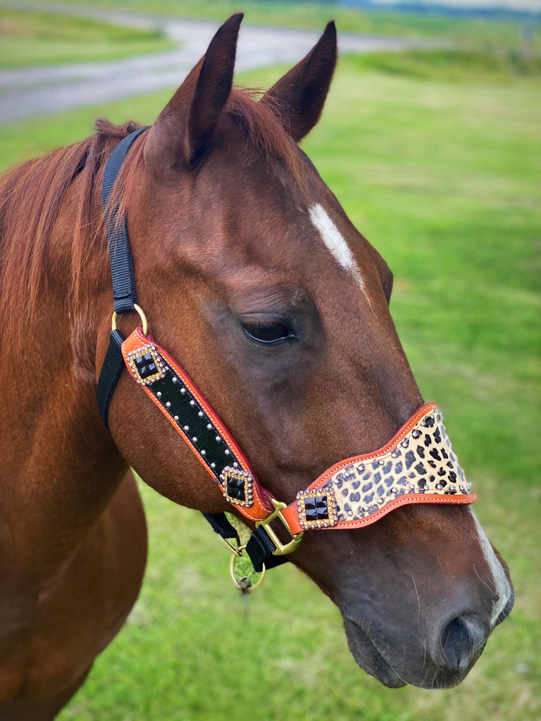 Black and Cheetah Cob Size Bronc Halter