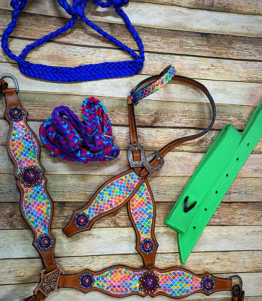 Complete Tack Sets – Page 2 – Twisted T Tack
