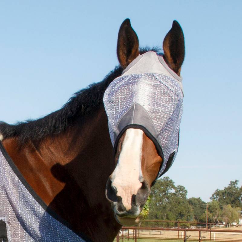 Professional Choice Mesh Fly Mask-Small/Cob Size